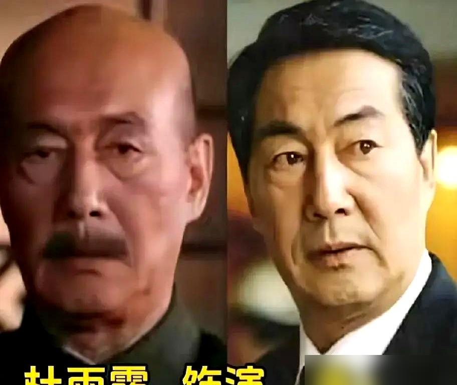 王劲松演蒋介石，一个动作就够了。

飞机颠簸，他没扶座椅，而是伸出手，死死按住桌