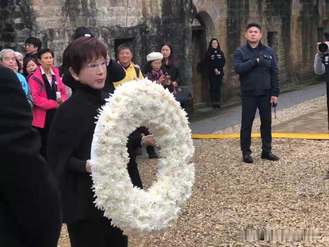 洪秀柱发文悼念南京大屠杀的受害者：更是表达了她痛心疾首的感受，不敢忘记不应忘记不