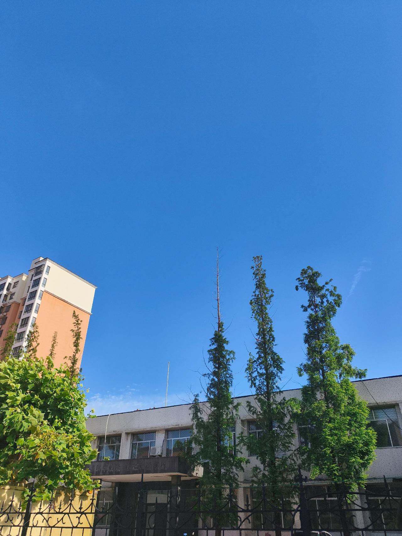 今天，天真好！