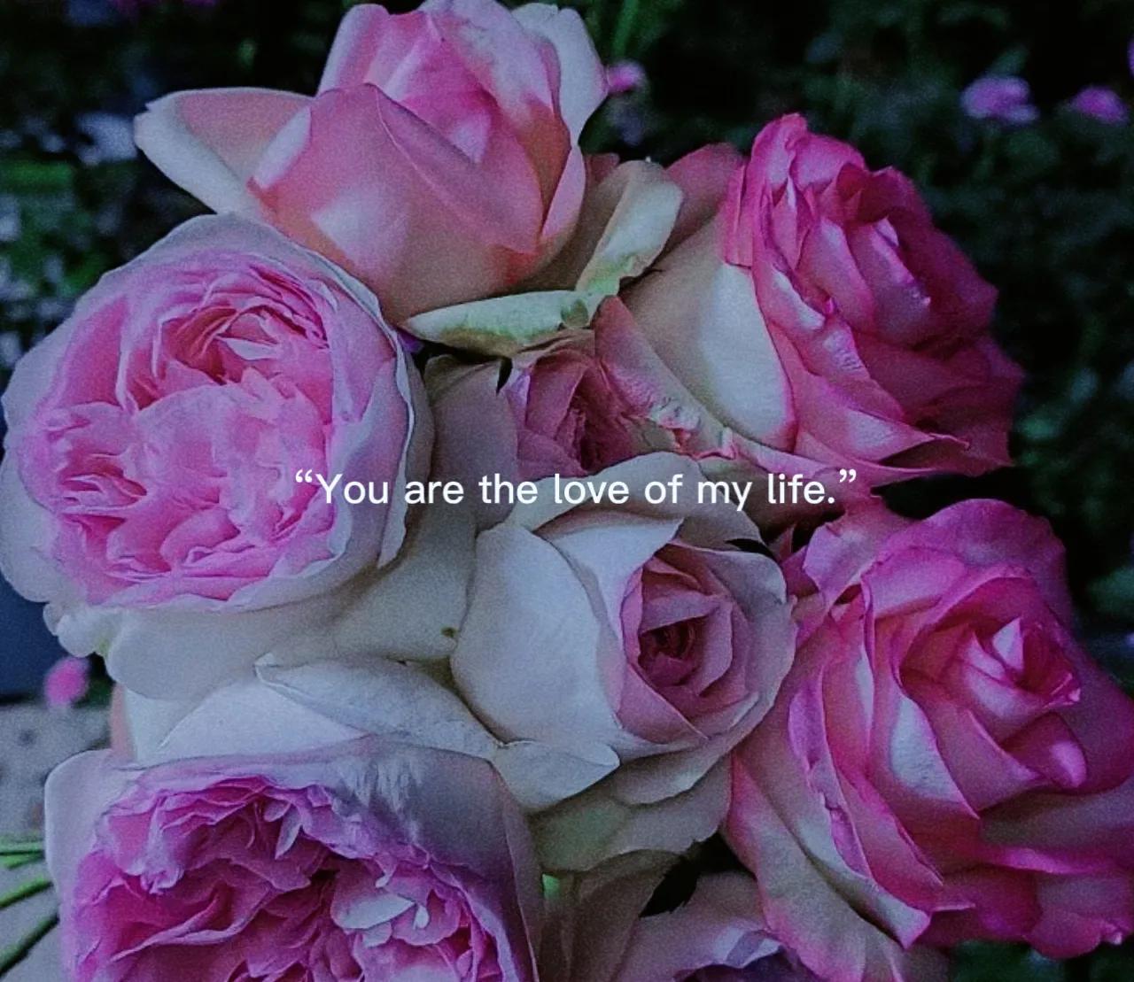 别再为
烂人烂事生气了
你气的不是他
是自己的不甘心
 
你气他不做家务、不管孩