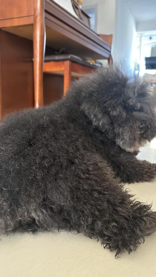 腿而已，谁不是大长腿呢？
