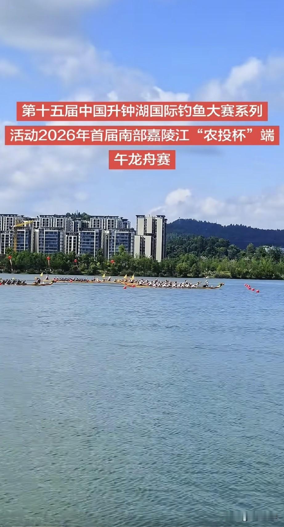 圆满落幕！南部首届龙舟赛燃爆端午🔥
桨逐嘉陵浪，龙腾南部城！
南部县首届嘉陵江
