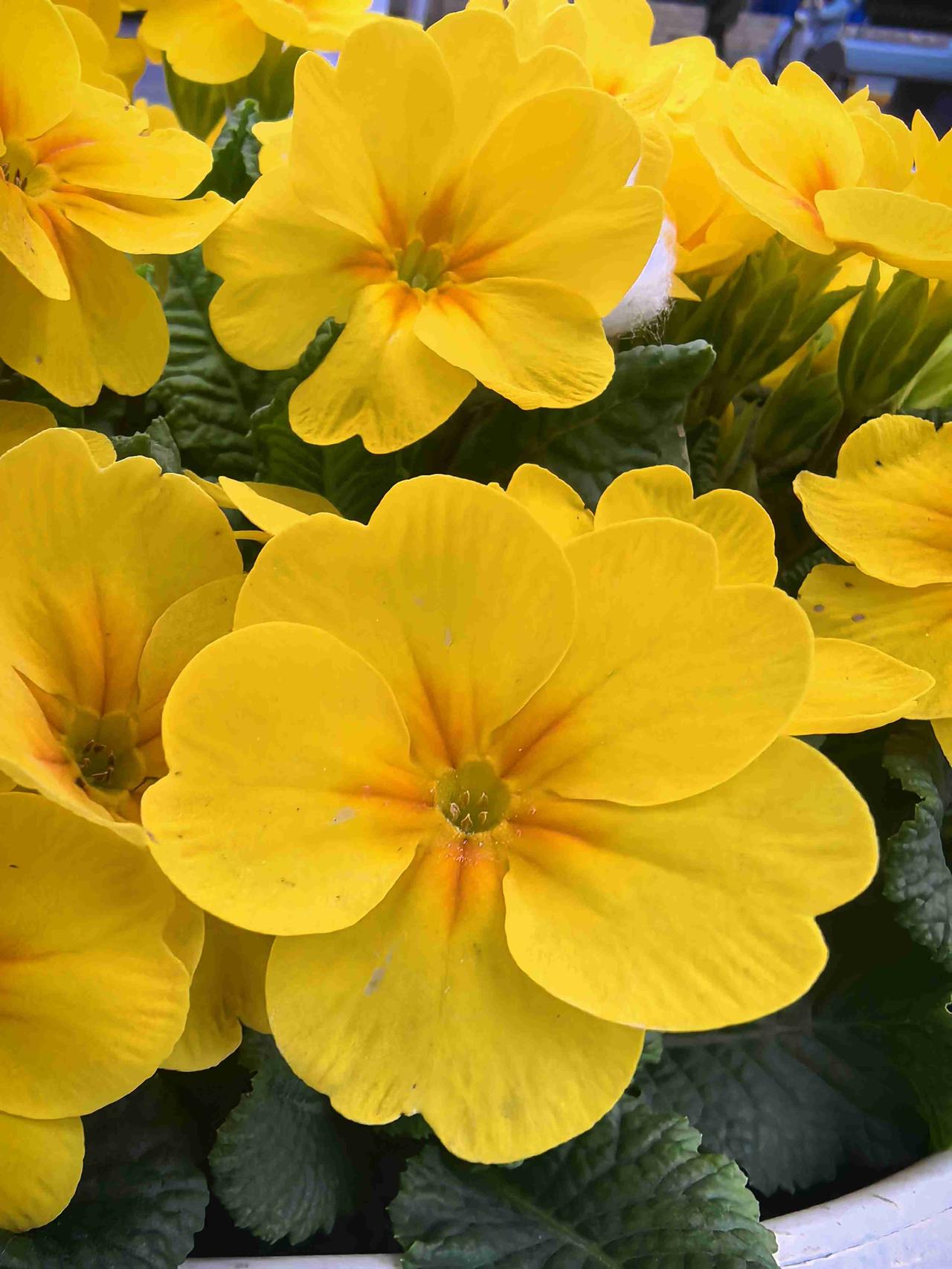 我的今日状态：😁轻松愉快
我这里的天气：☀️晴天