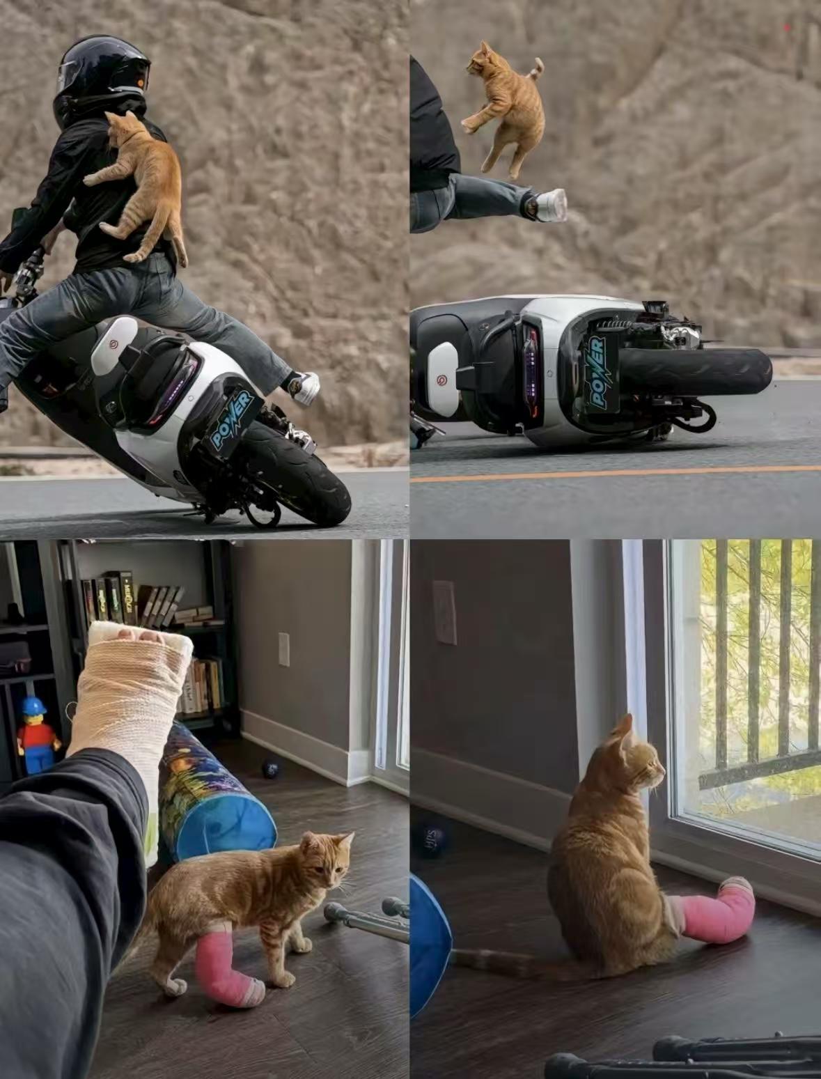 车若初见[超话] 逐渐怀疑“猫生”[流鼻血][流鼻血] ​​​