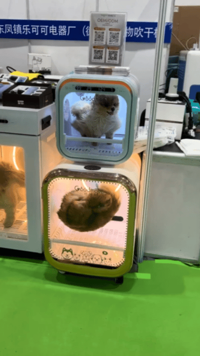 稳如泰山和轻于鸿毛在此刻具像化了 ​​​