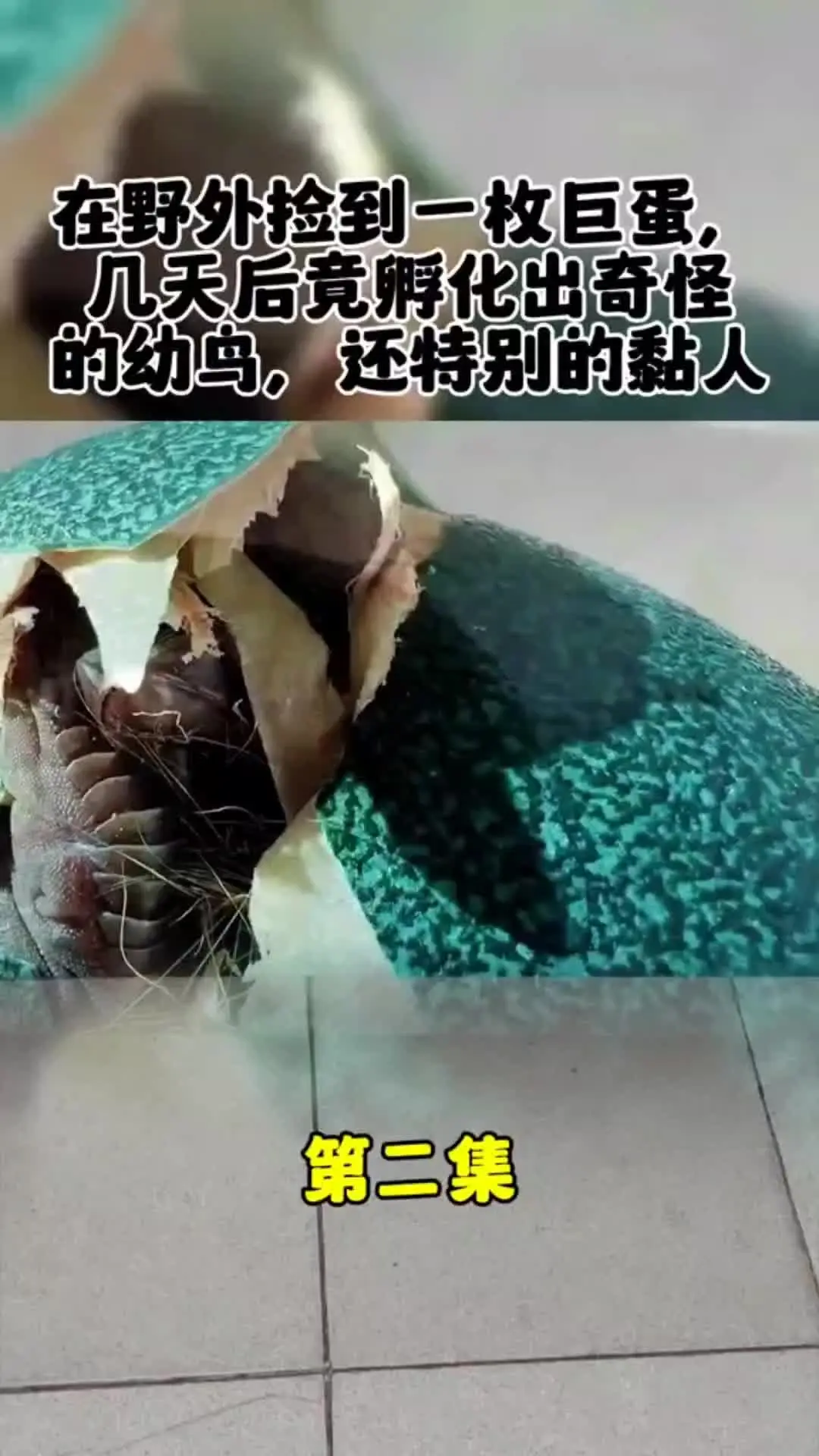 内容启发搜索 神奇的动物在 动物世界
