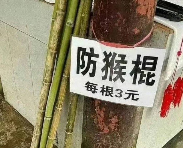 无论是哪只猴 见一次打一次 ​​​