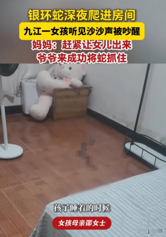 “太吓人了！”9月13日报道，江西九江，一女孩睡得正香时，被房间里“沙沙”声吵醒