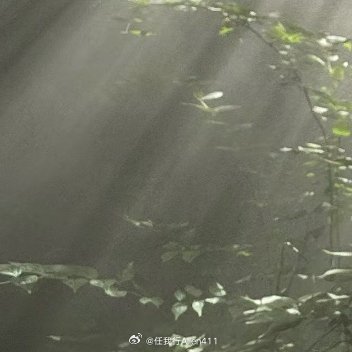 播种信念当种子以勇气破土，每一片嫩芽都写满无畏。用心耕耘时光的土壤，终会迎来自己