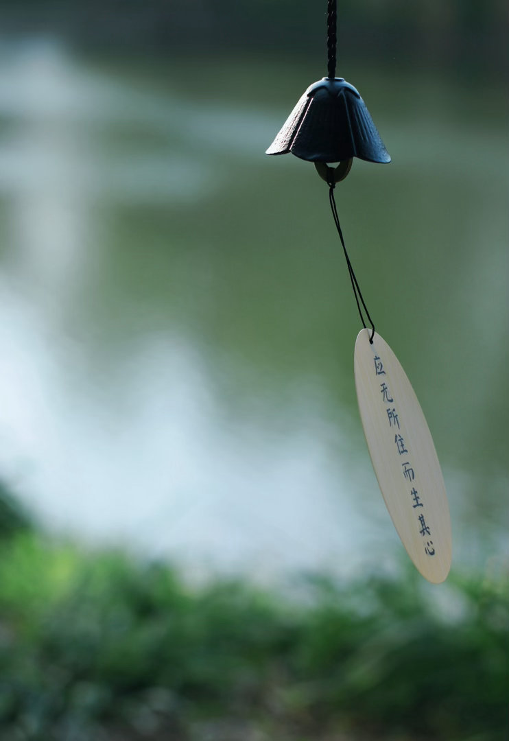 别追光，你的内在就是光，你就是光。面部是真相修心养面进化圈