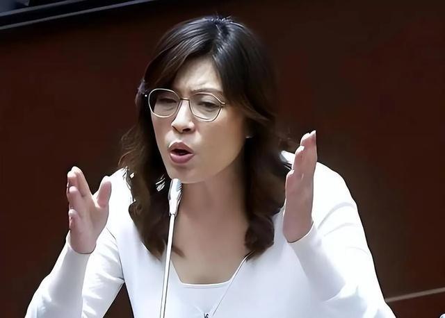 台湾蓝营终于摊牌了！郑丽文公开拒绝“一国两制”，不再模糊回避。这记重拳打向何方？