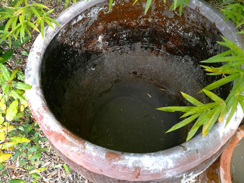 小院两年多的生活垃圾自制有机肥实操方法——
 
经营小院两年有余，我摸索出一套简
