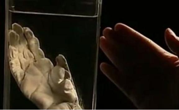 1957年，浙江发现疑似“野人”的生物，攻击小女孩。村民发现后将其打死，并吃掉，