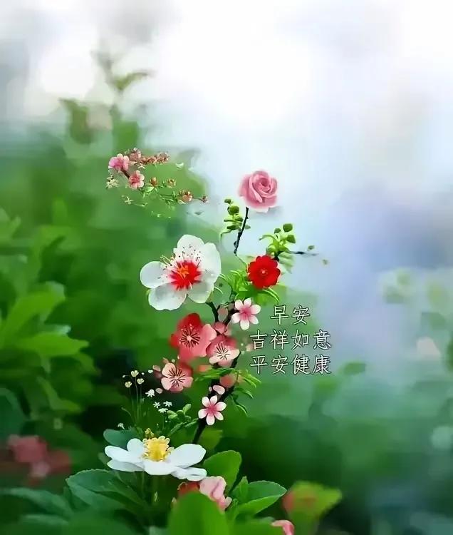 早安吉祥如意，平安健康常伴🌸🌺💐