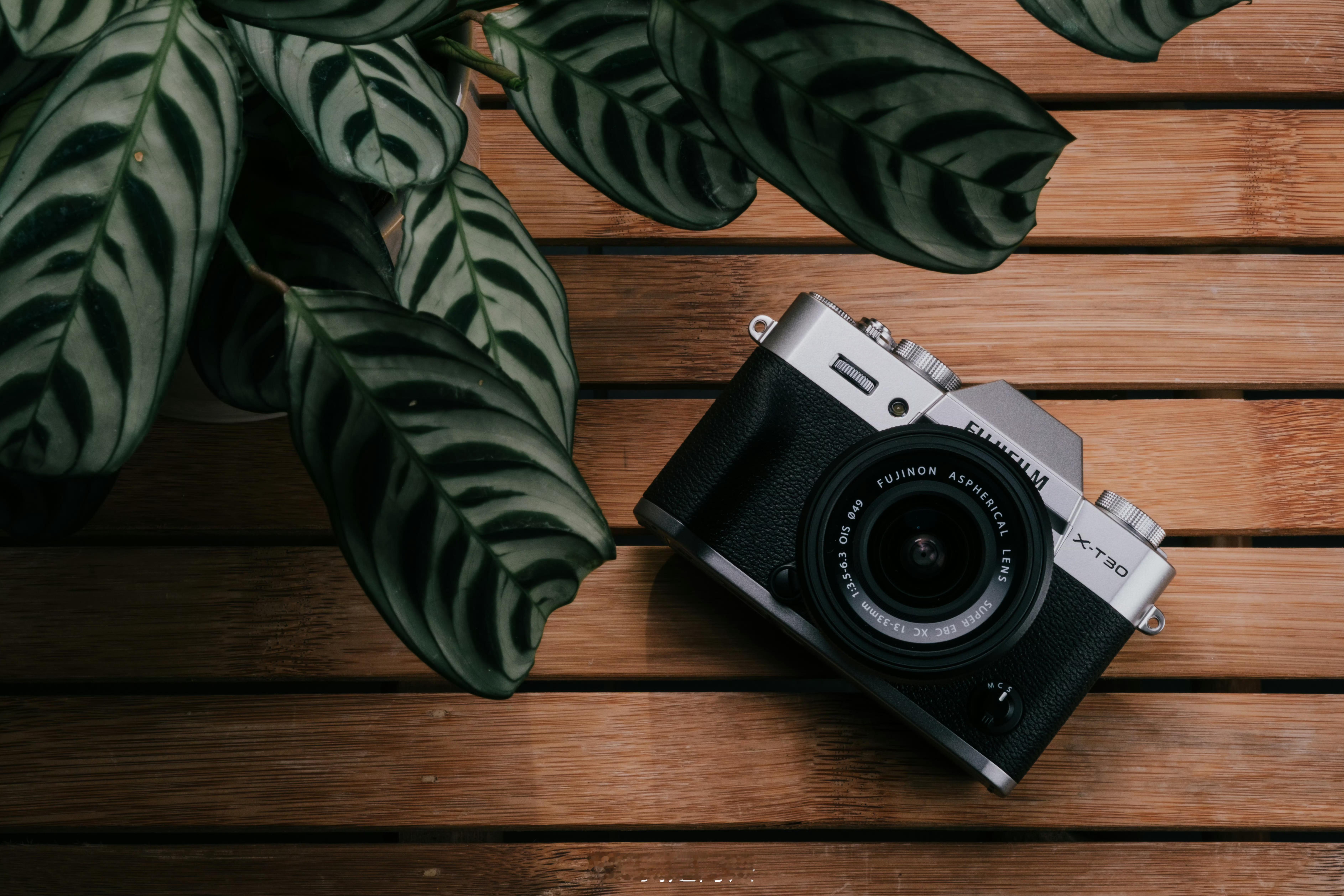 早今天是12月5日，明年的有什么计划，大家想好了吗？ 