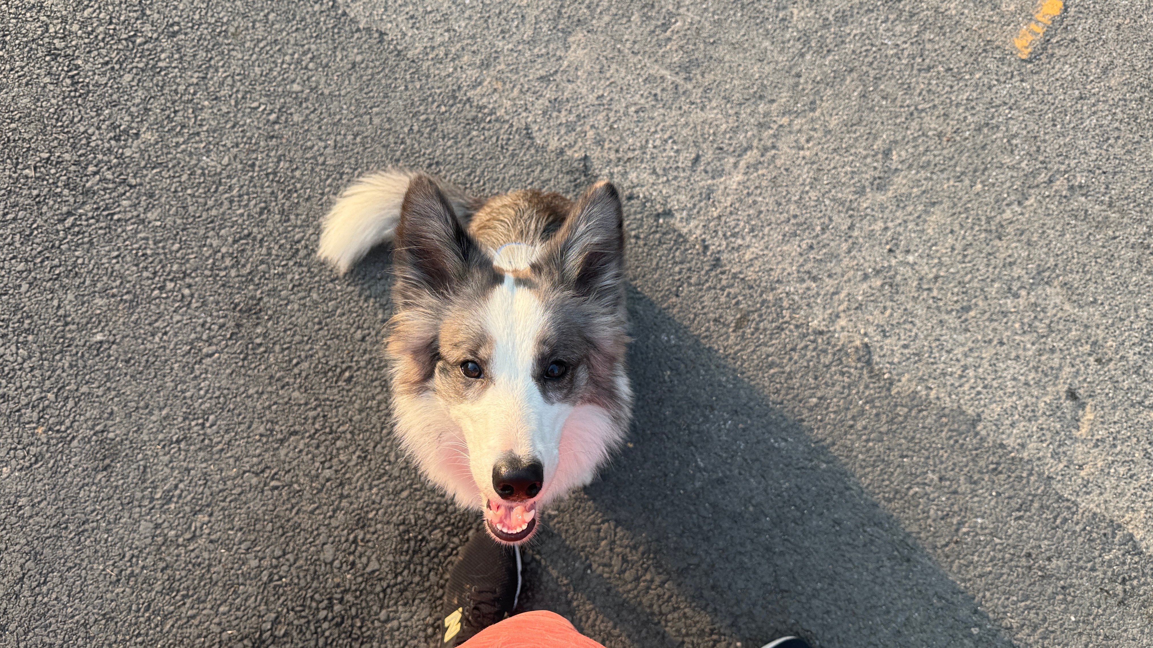 work hard play hard sleep hard fxxk hard