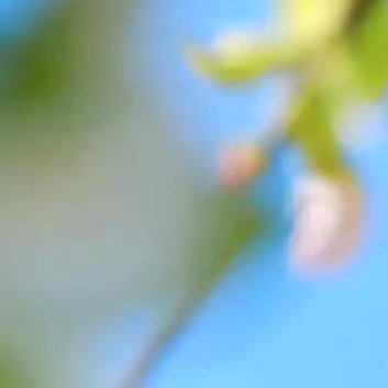 应对失败和挫折，一笑而过是一种乐观自信，然后重振旗鼓，这是一种勇气心。应对误解和