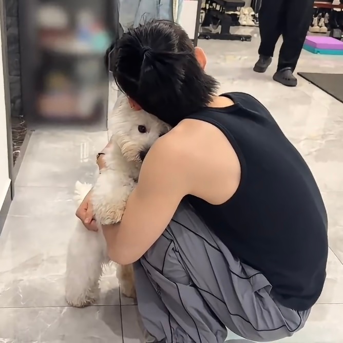 小狗依人 