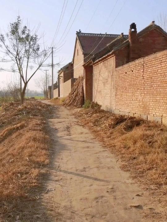 回不去的童年，忆不完的青春。
想不尽的乡愁，抹不掉的记忆。