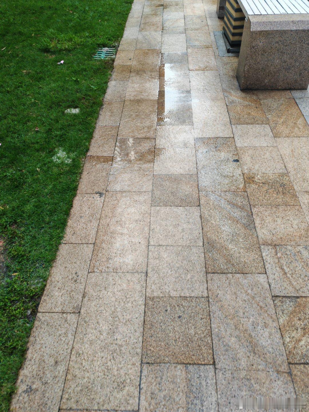 小区物业每天都要冲洗花园地面，因为实在是味道太大了，好多人一条狗不过瘾，养两条狗