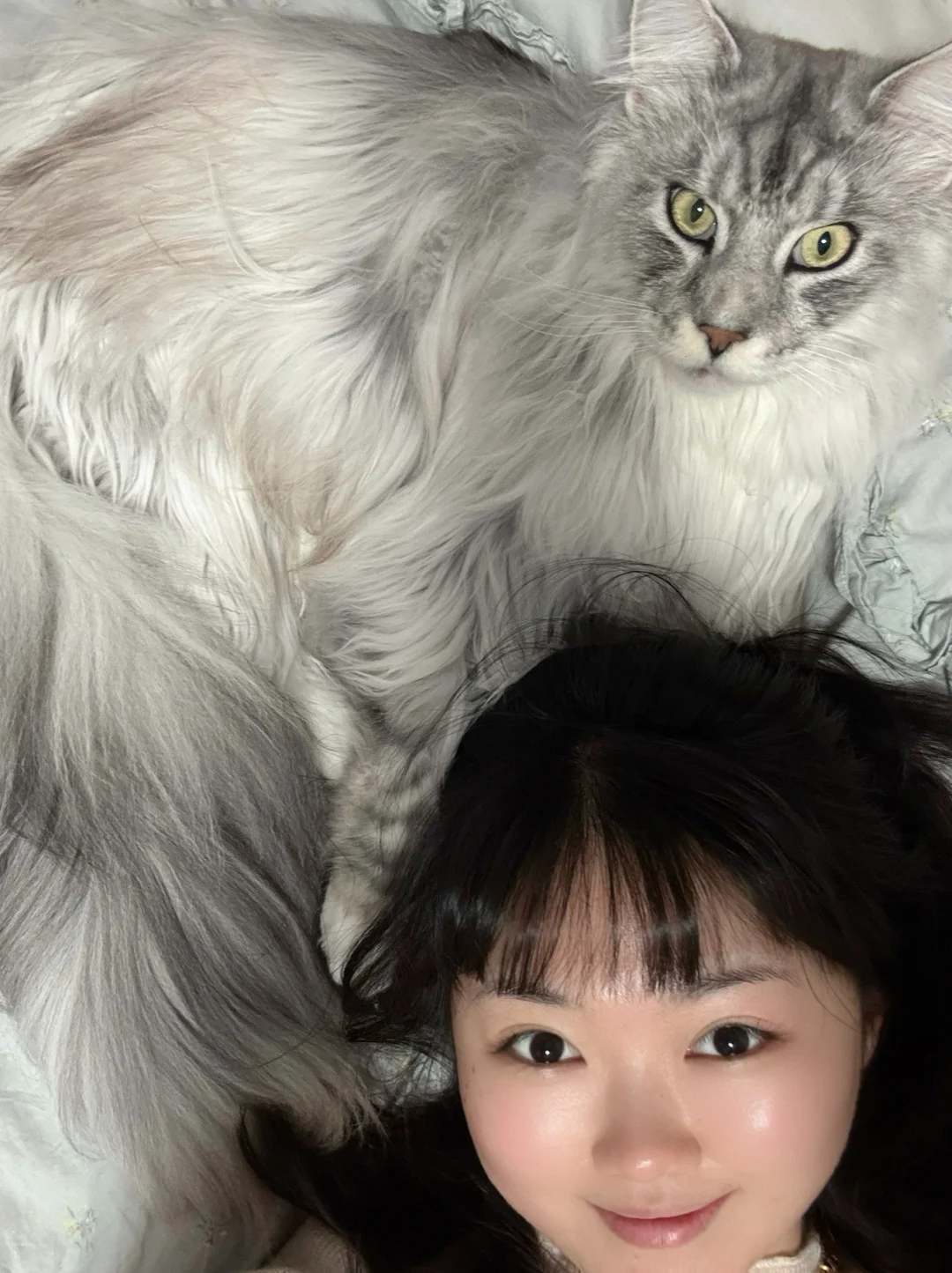 咪：大家好，这是我的宠物人