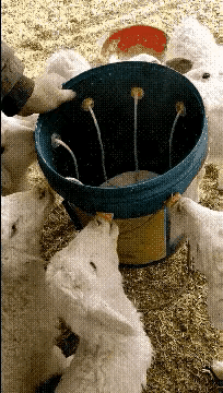 办法总比困难多～