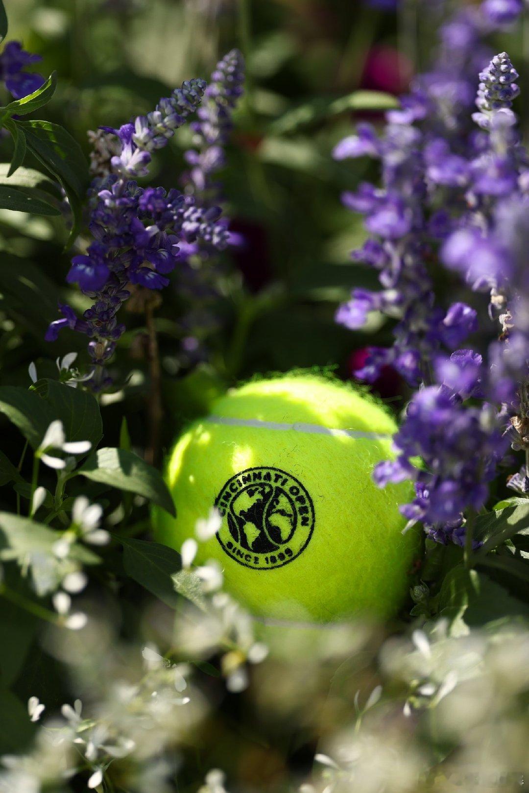 ATP1000 辛辛那提大师赛今晚将进入第七比赛日的争夺，第四轮全面开打，以下赛