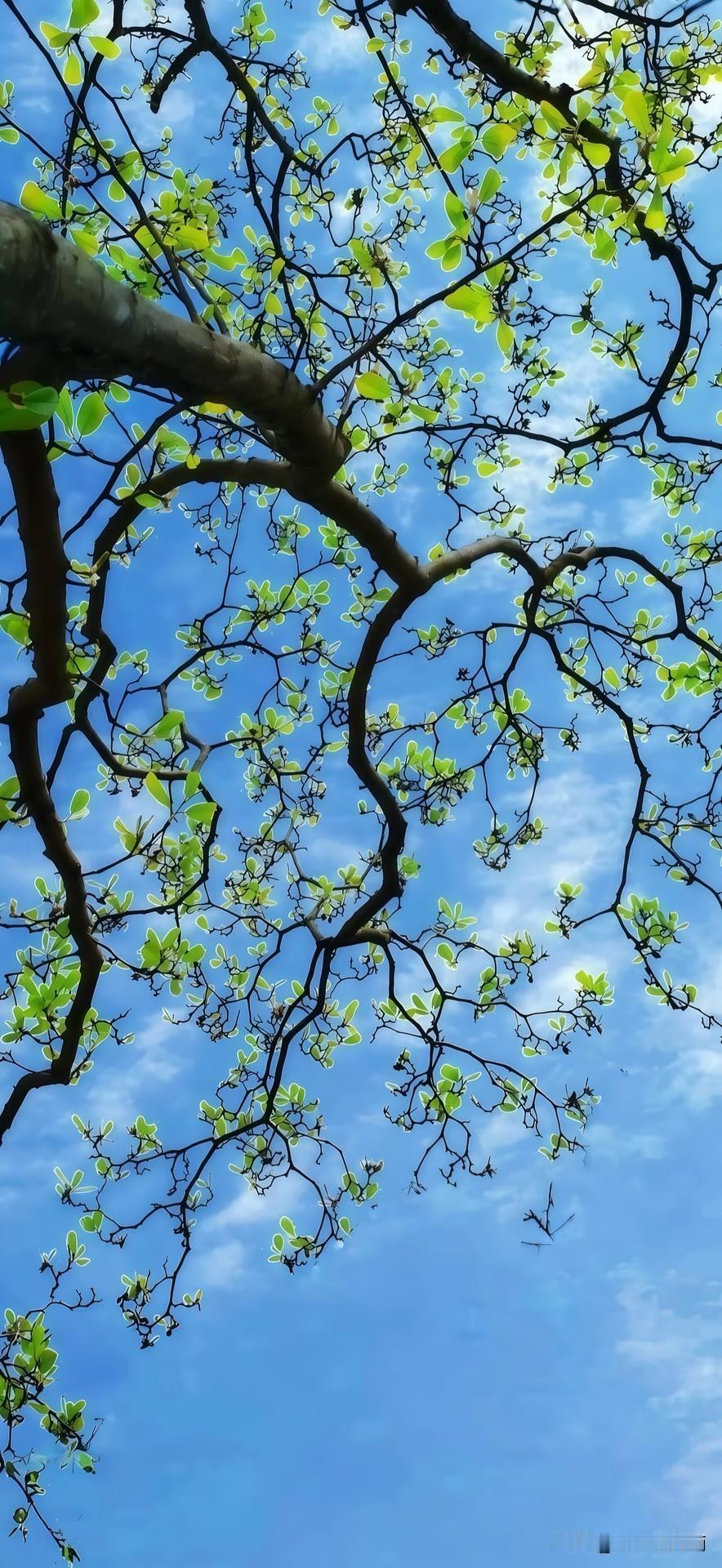 面对孩子“啃老”父母该支持还是拒绝