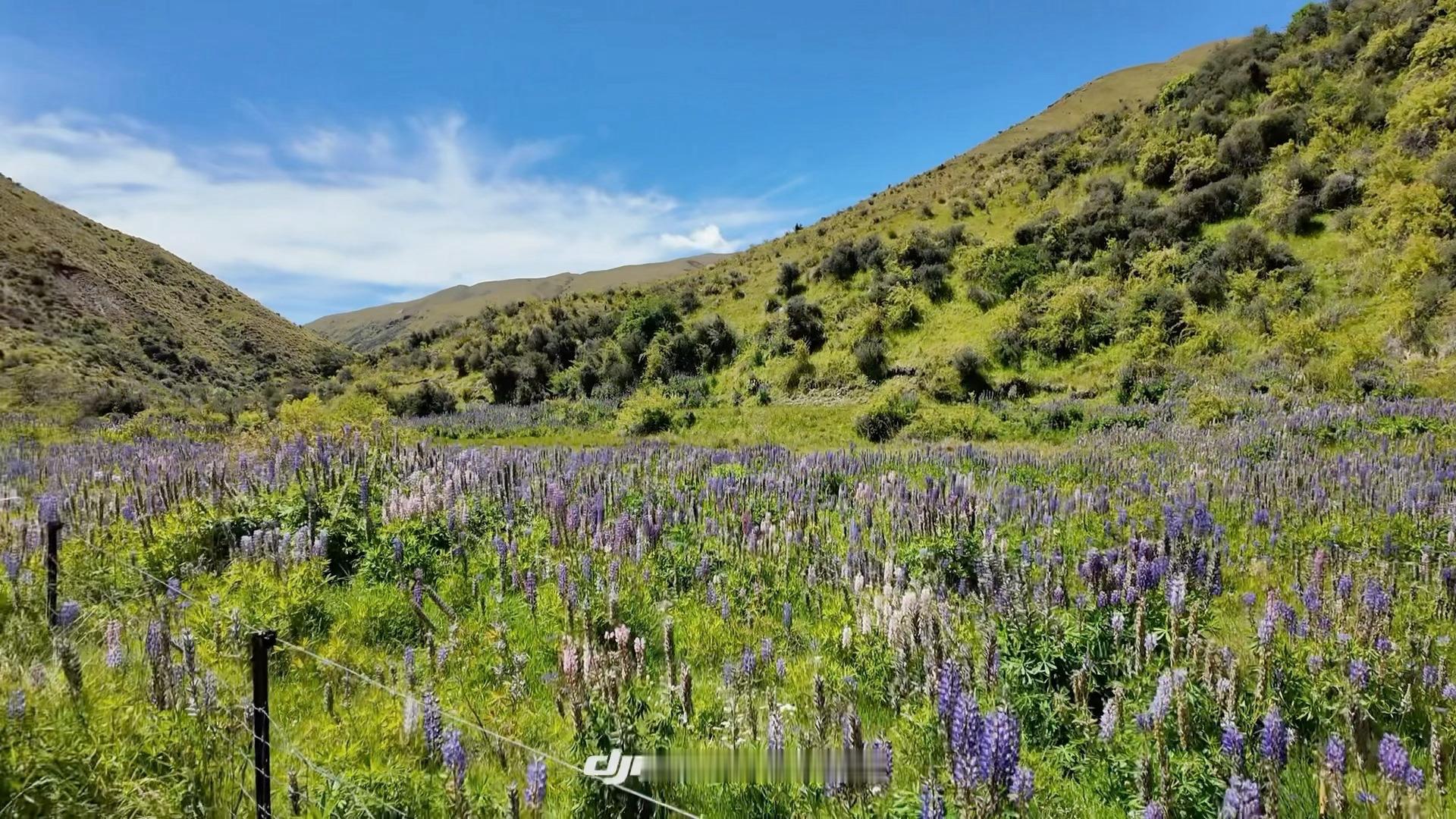 给我打上巴雷特了 粉色的枪皮好漂亮 回头看巴雷特拍的视频好大声好爽 