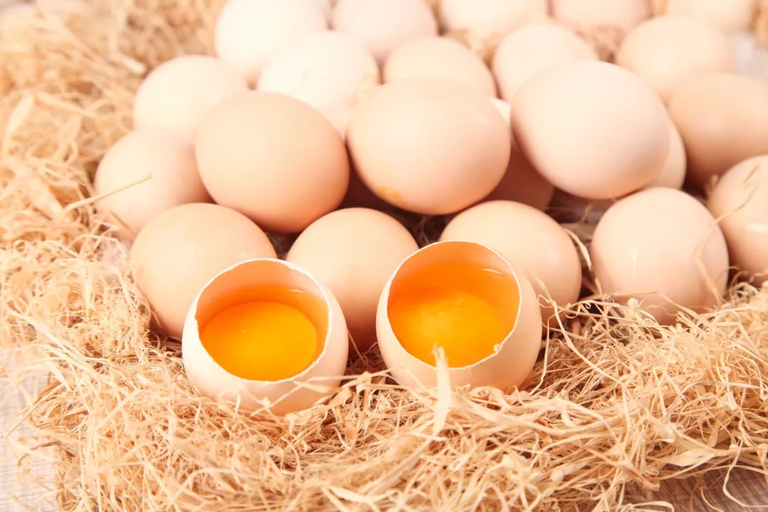 【#土鸡蛋更有营养是常见误区#】#土鸡蛋并不比普通鸡蛋更有营养# 很多人认为土鸡