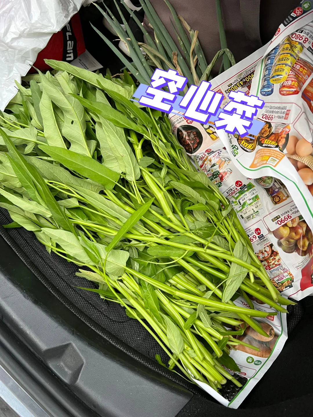 在韩国生活有姐姐投喂蔬菜