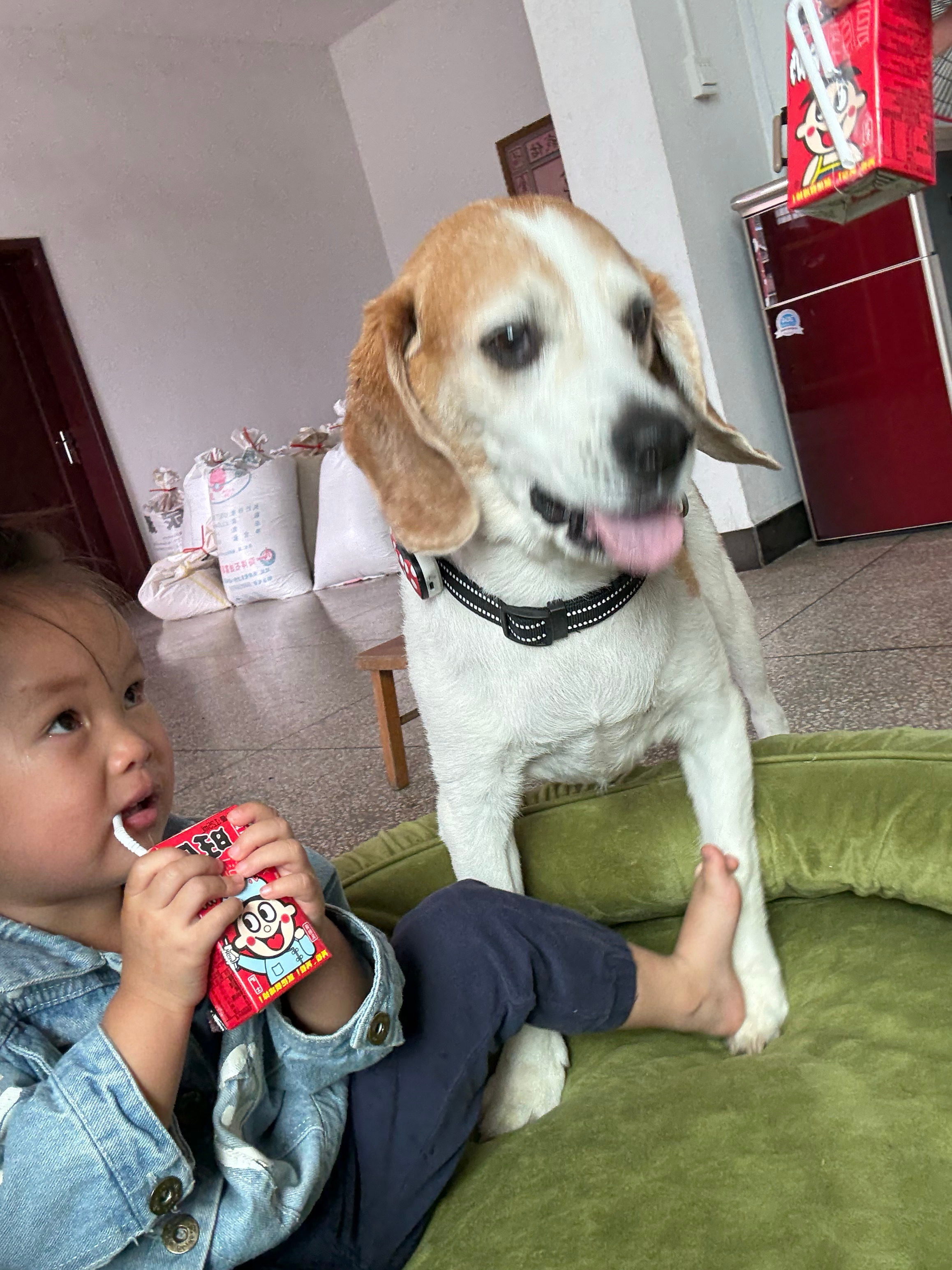 比格之家 ​​​