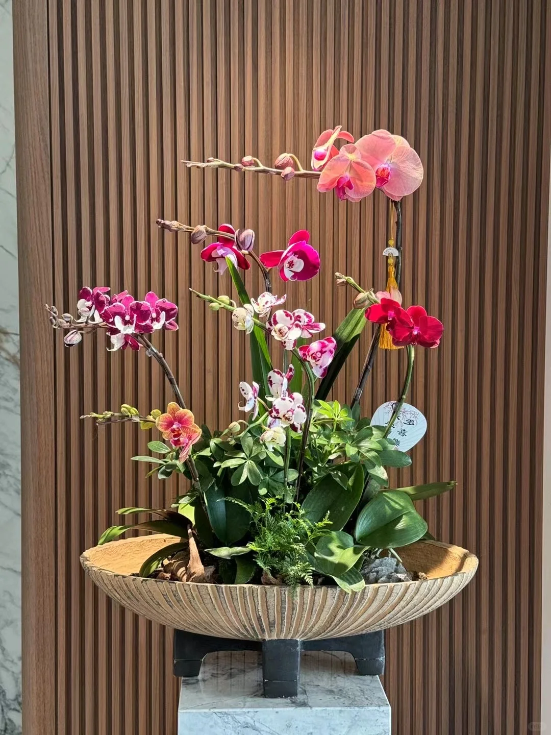 又是客戶返圖
