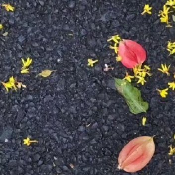 每日一善每日一善 阳光信用 世界很大，风景很美，机会很多，不要蜷缩在一小块阴影里