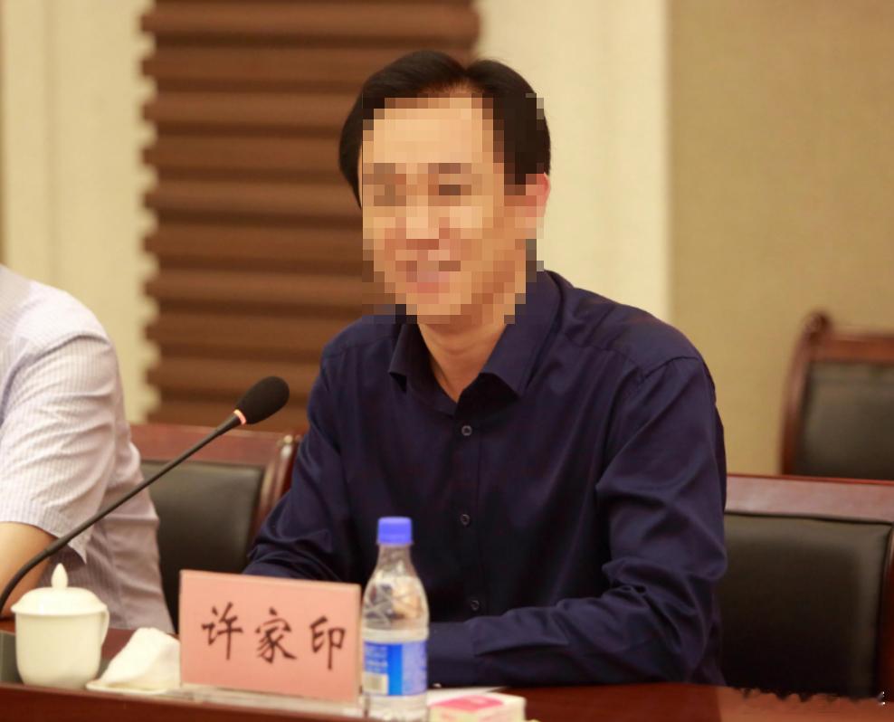 【许家印受审全民关注，孙玉良：他终结“房地产至上”论是一大贡献】许家印终于站上被