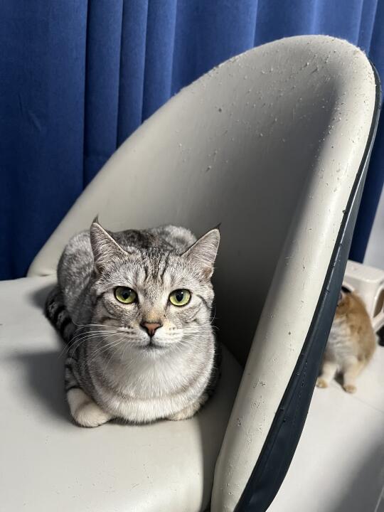 猜猜这张照片的重点是什么？