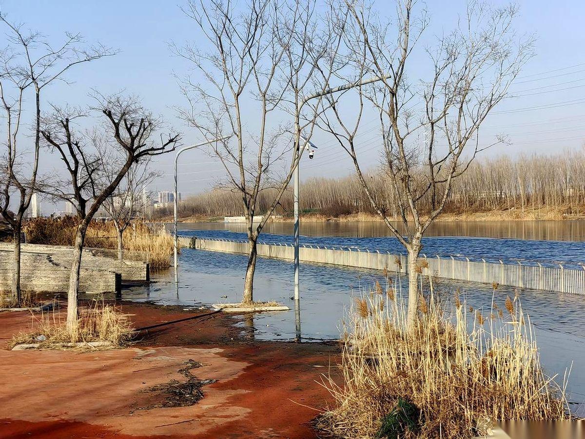 嘿，我滴个乖乖。
洸府河这是要“成精”了？
大冬天的，水都快漫到我脚边了。
今儿