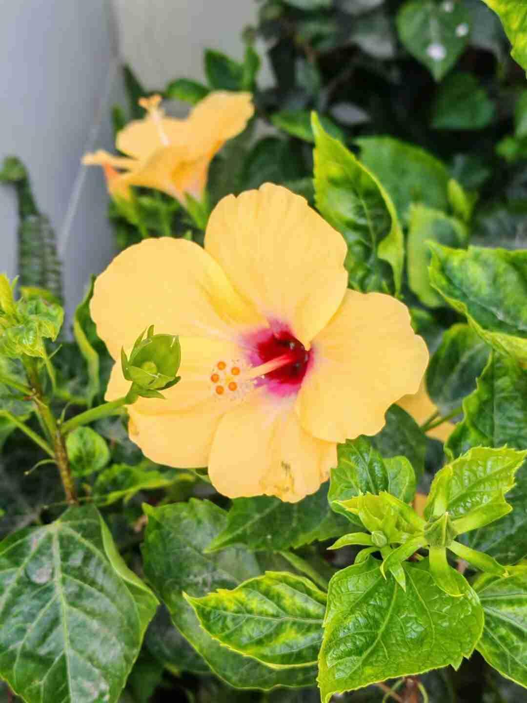 我的今日状态：😁轻松愉快
我这里的天气：☀️晴天