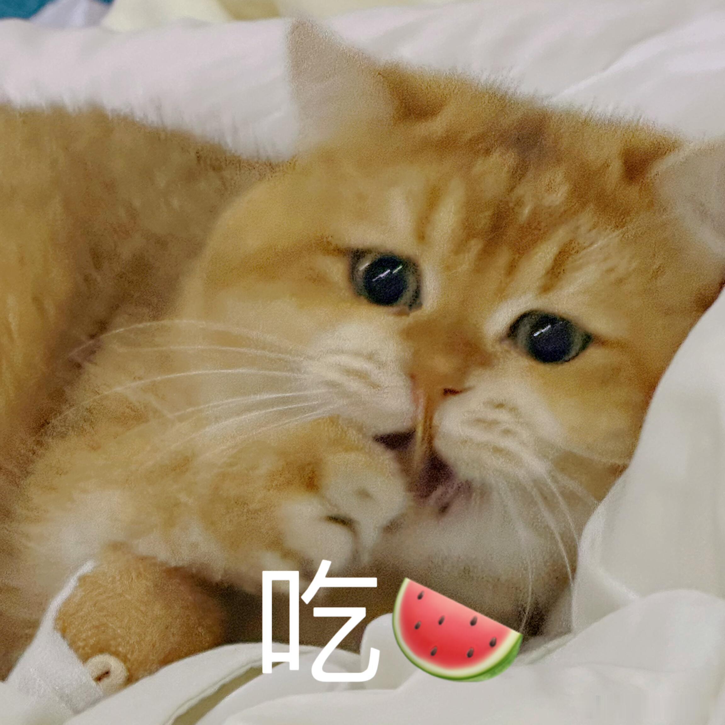 台媒曾曝具俊晔拥有破亿房产，原来早在之前就已经挖掘过他背后的背景以及财力，这才是
