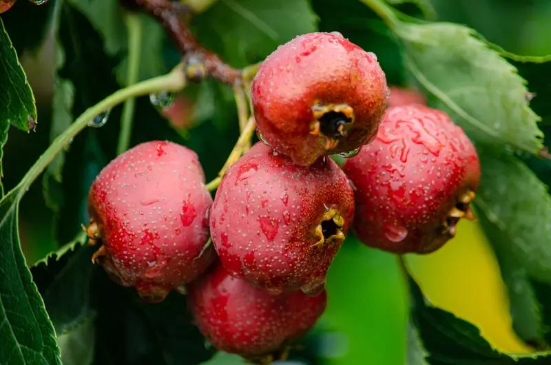 秋天一来，整个世界都变了模样。
漫步在小区林荫路，凉飕飕的风一扫往日的燥热。抬头