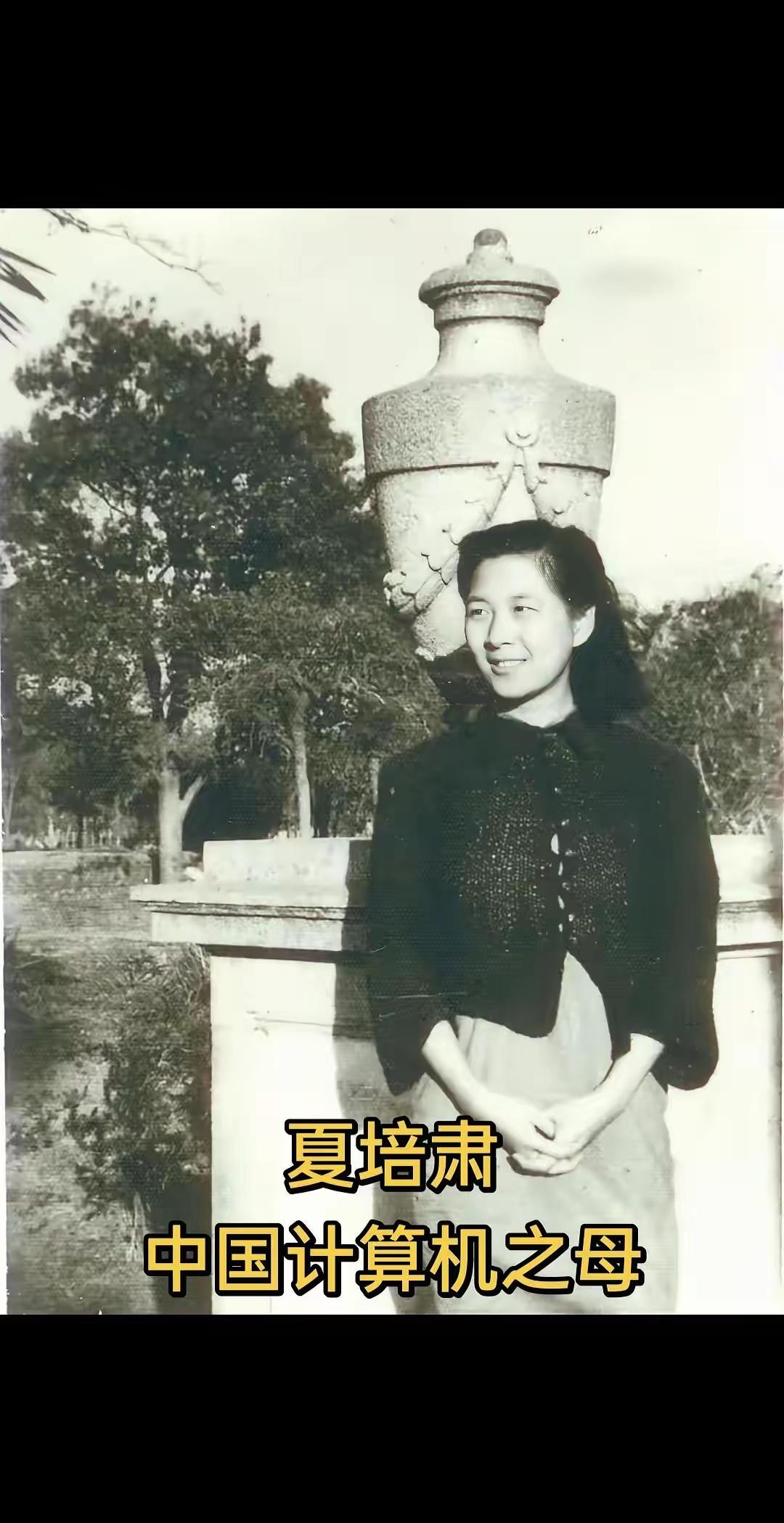夏培肃，1923年生于重庆（原四川江津），2014年逝世，中科院院士 ，被誉为“