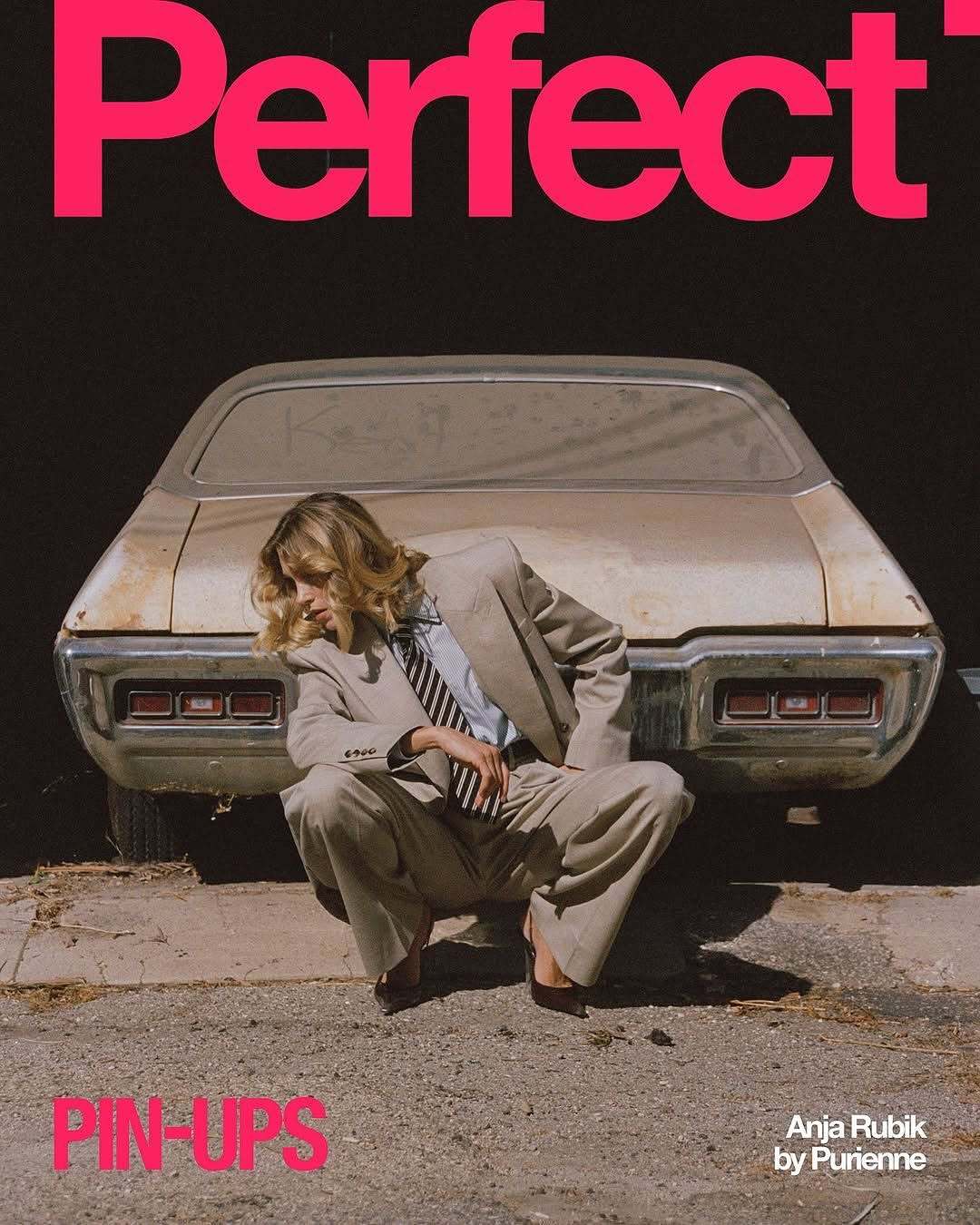 The Perfect Magazine Issue 8Anja Rubik i