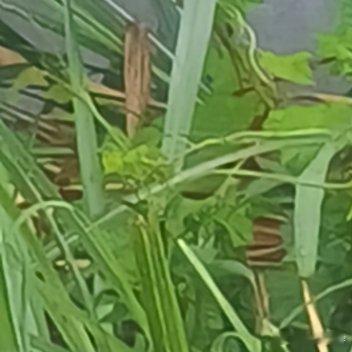 别被过往的遗憾与纠结层层束缚，往事已成定局不必反复内耗。放下心底放不下的执念，好