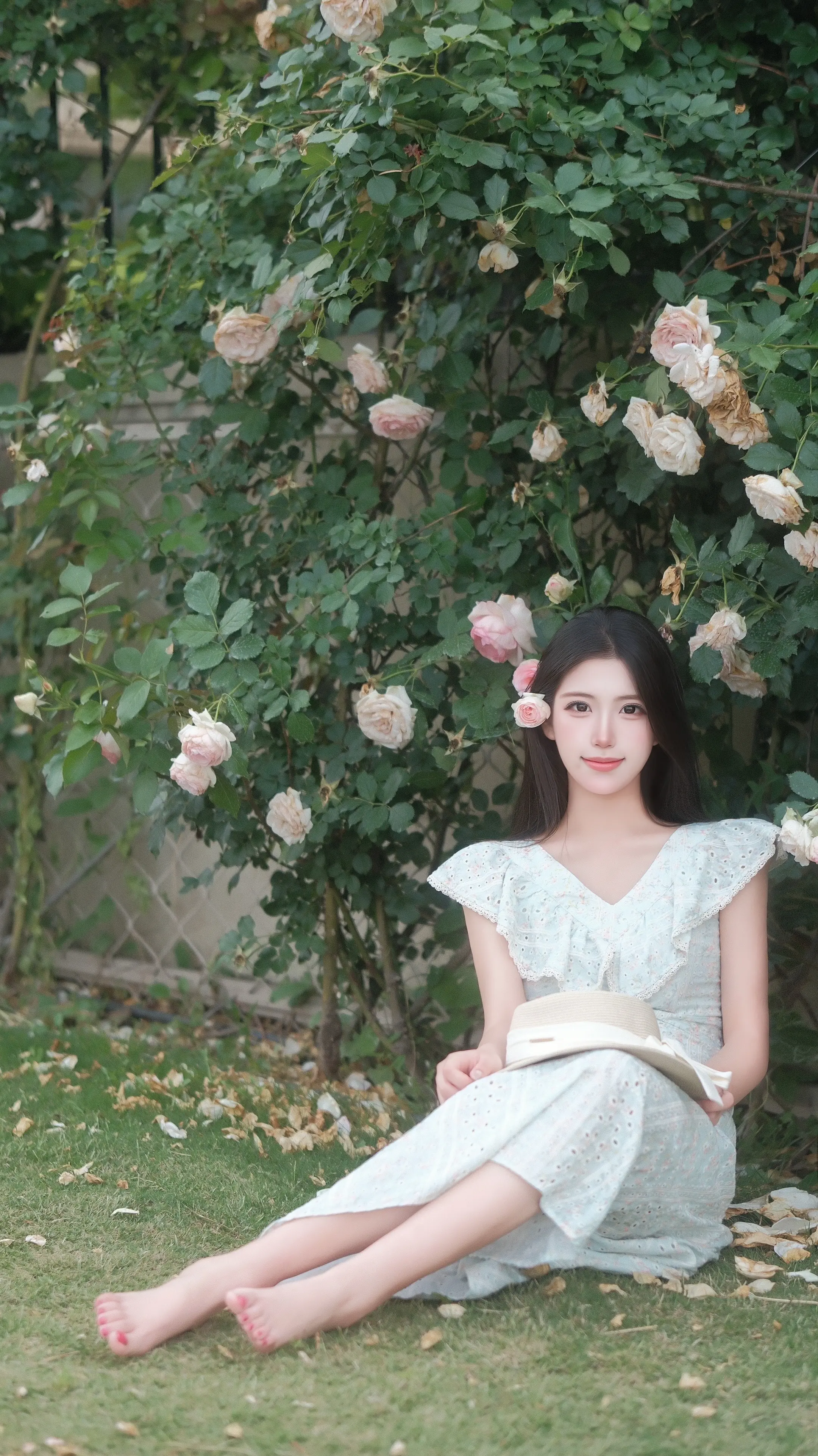 绿山墙的安妮