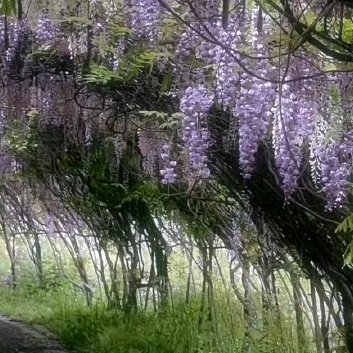 阳光信用‎阳光‎信用 ‎每日一善 谁的人生不是荆棘前行，你跌倒的时候，懊恼的时候