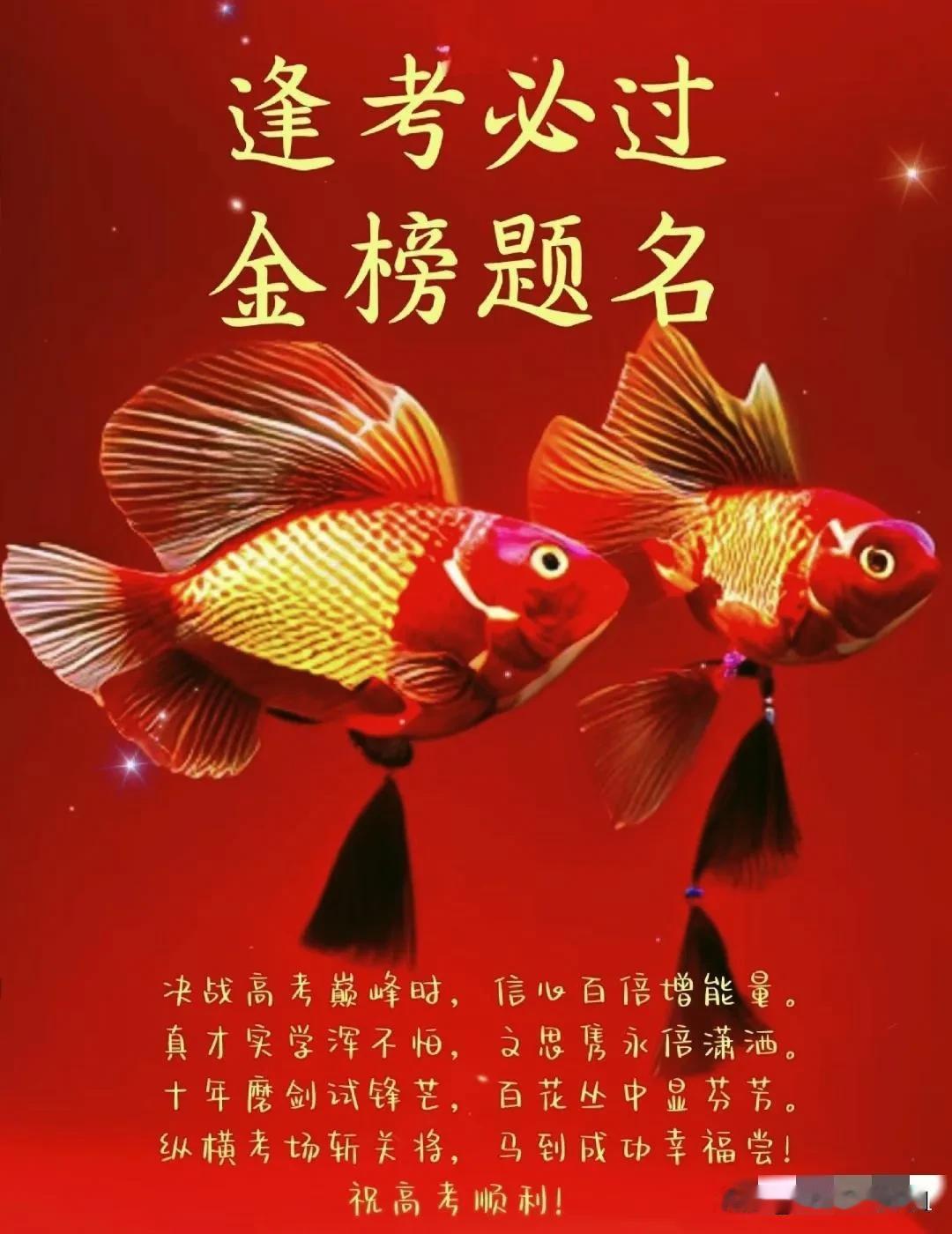 #2024高考季# 
高考是人生的一次大考，
但不是终点。
无论你身在何处,
无