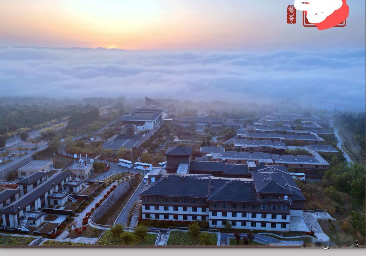 迷雾之中的城市