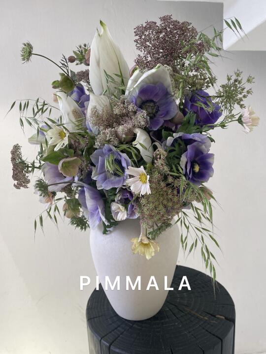 PIMMALA｜花是会呼吸的生命日记