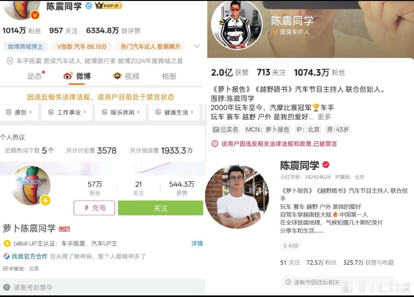 陈震多平台被禁言常在河边走哪能不湿鞋，迟早的事，没想到禁言来得这么快。陈震算是车