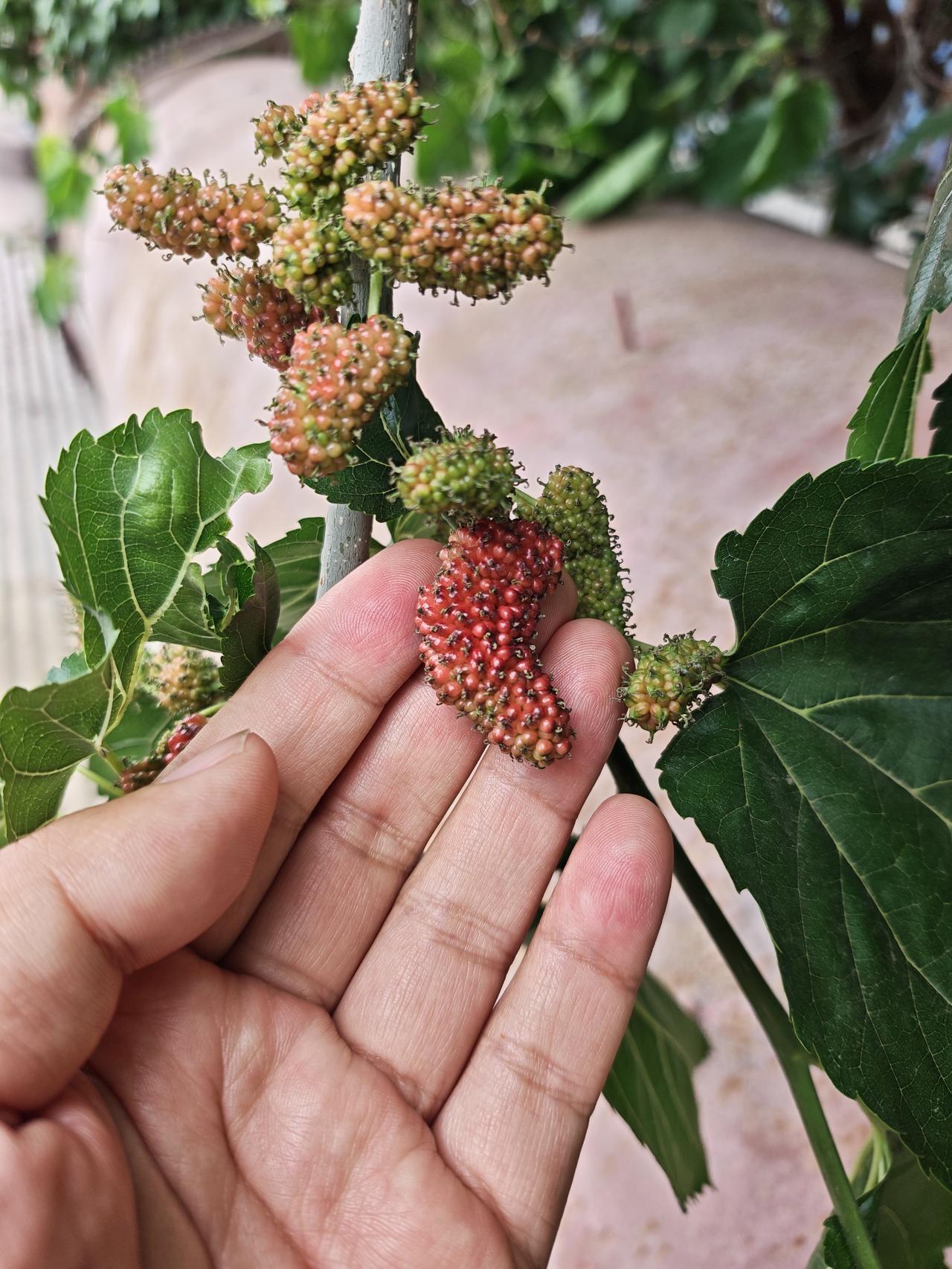男人一旦过了40岁，最害怕的五件事，你知道是什么吗？
一怕自己挣不到钱，
二怕年